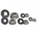 Hex Flange Nut